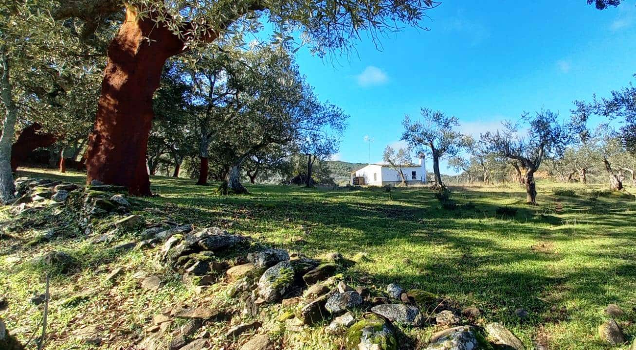 1 bedroom Finca/Country House for sale in Puerto Moral - € 247,000 (Ref: 9929762)