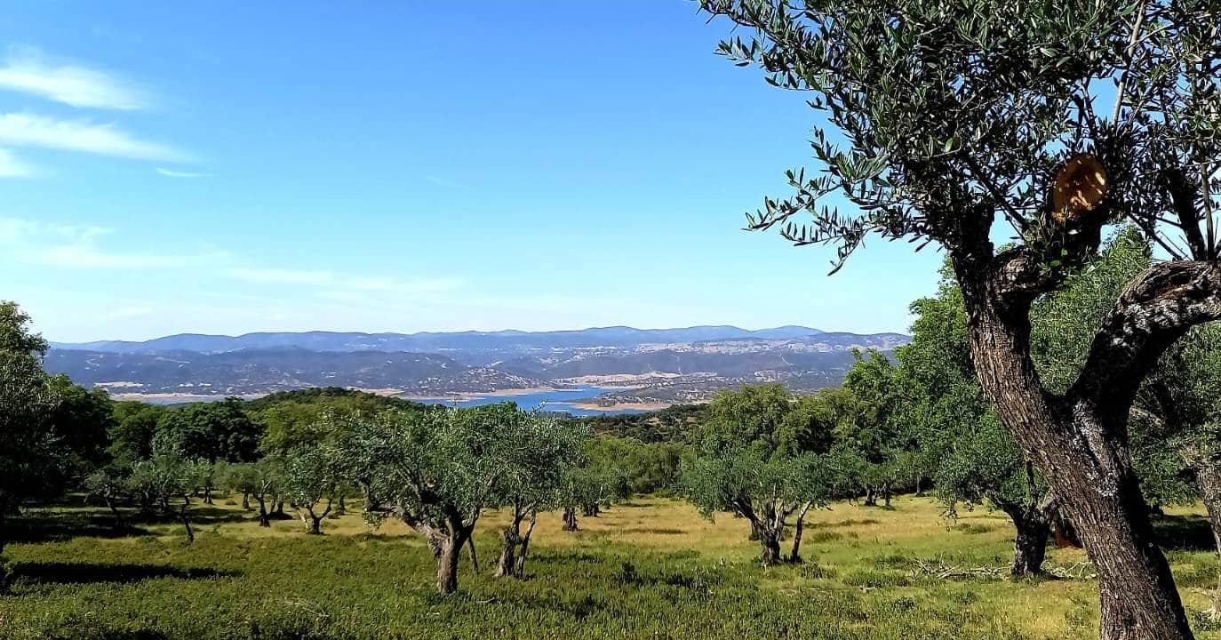 1 bedroom Finca/Country House for sale in Puerto Moral - € 247,000 (Ref: 9929762)