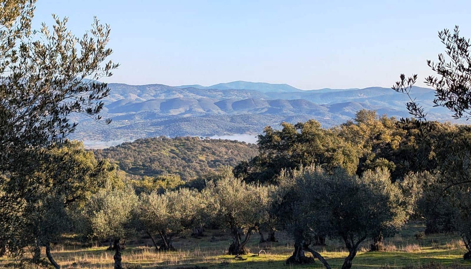 1 bedroom Finca/Country House for sale in Puerto Moral - € 247,000 (Ref: 9929762)