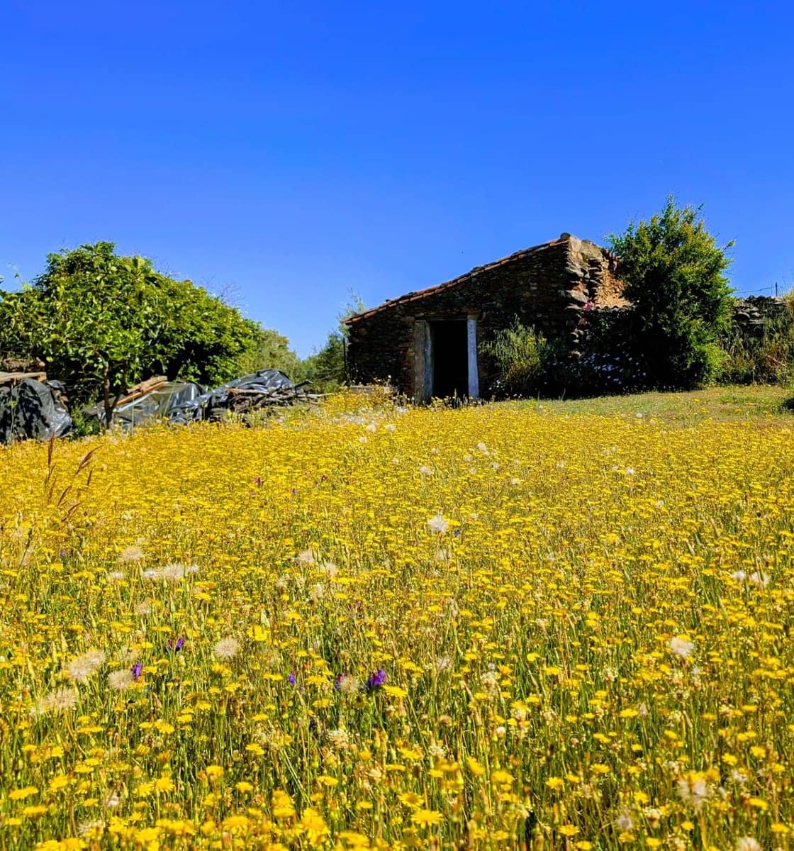 1 bedroom Finca/Country House for sale in Puerto Moral - € 247,000 (Ref: 9929762)