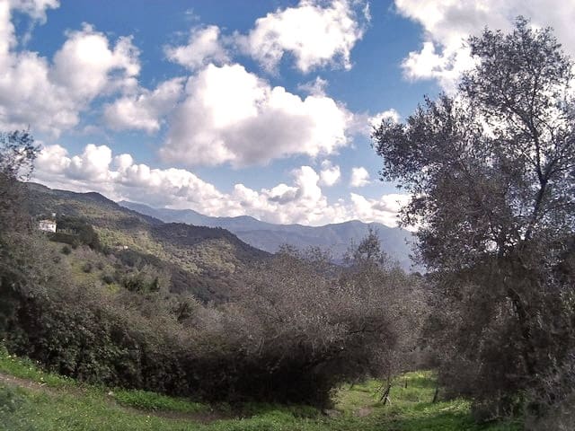 Byhus til salg i Gaucín - € 285.000 (Ref: 6646558)