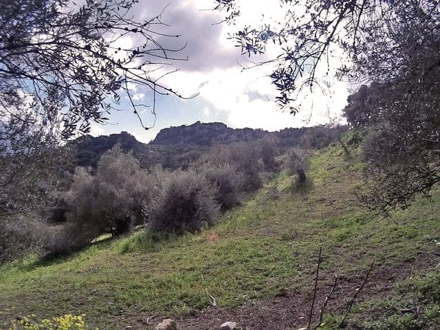 Byhus til salg i Gaucin - € 285.000 (Ref: 6646558)