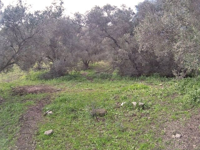 Byhus til salg i Gaucín - € 285.000 (Ref: 6646558)