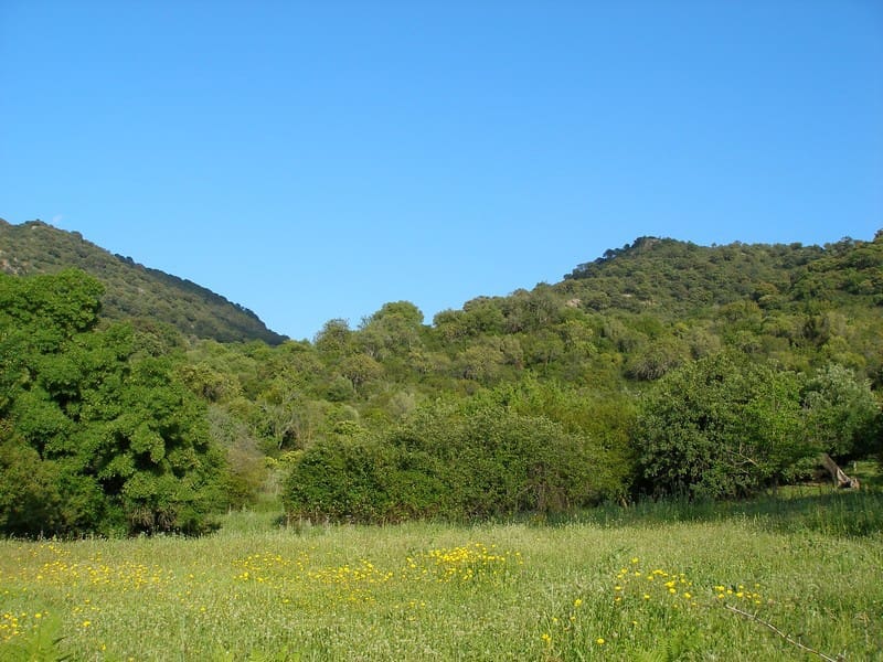 3 soveværelse Finca/Landehus til salg i Gaucin - € 215.000 (Ref: 6648508)