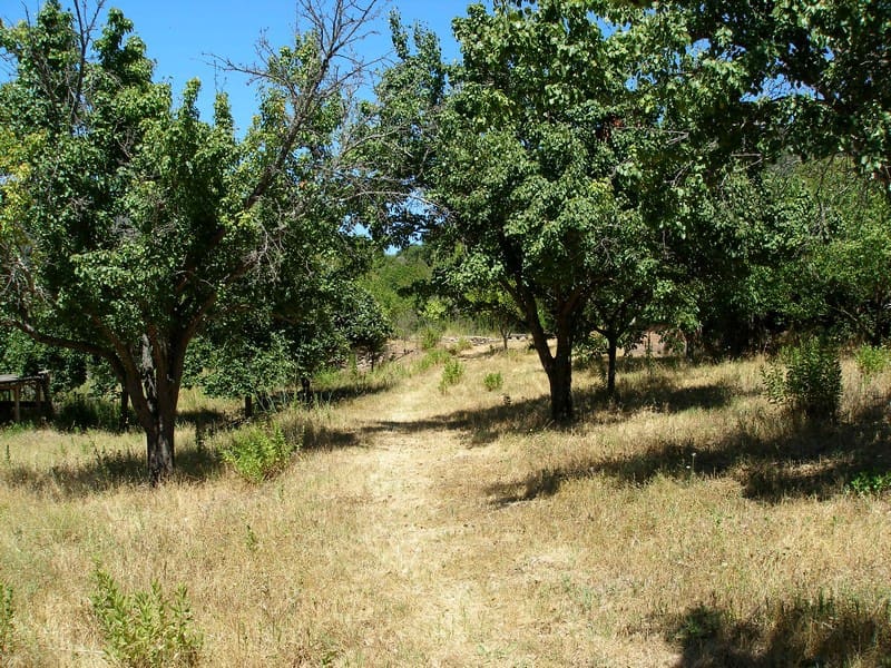 3 soveværelse Finca/Landehus til salg i Gaucin - € 215.000 (Ref: 6648508)