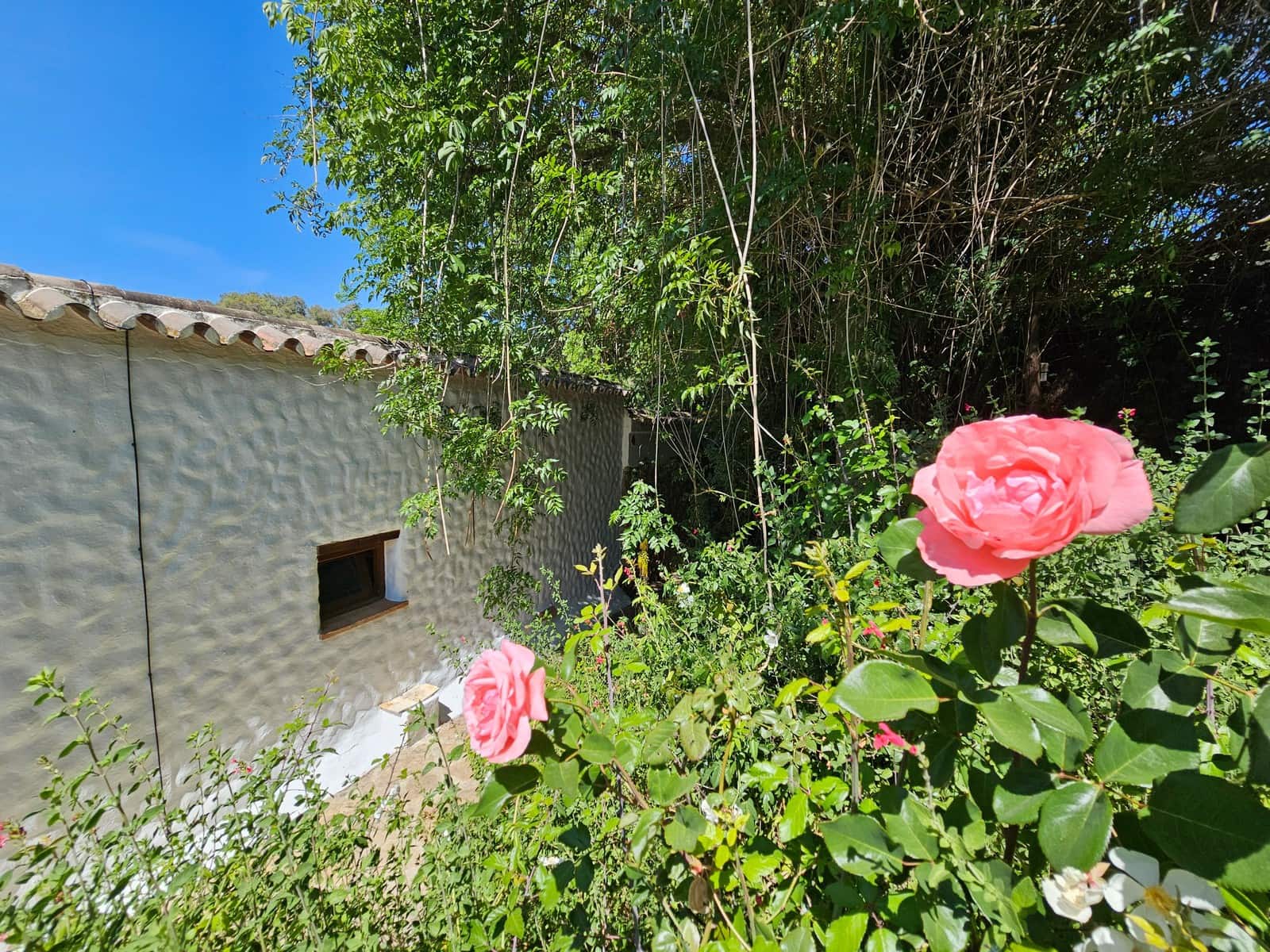 3 bedroom Finca/Country House for sale in Gaucín € 340,000 (Ref 7707899)