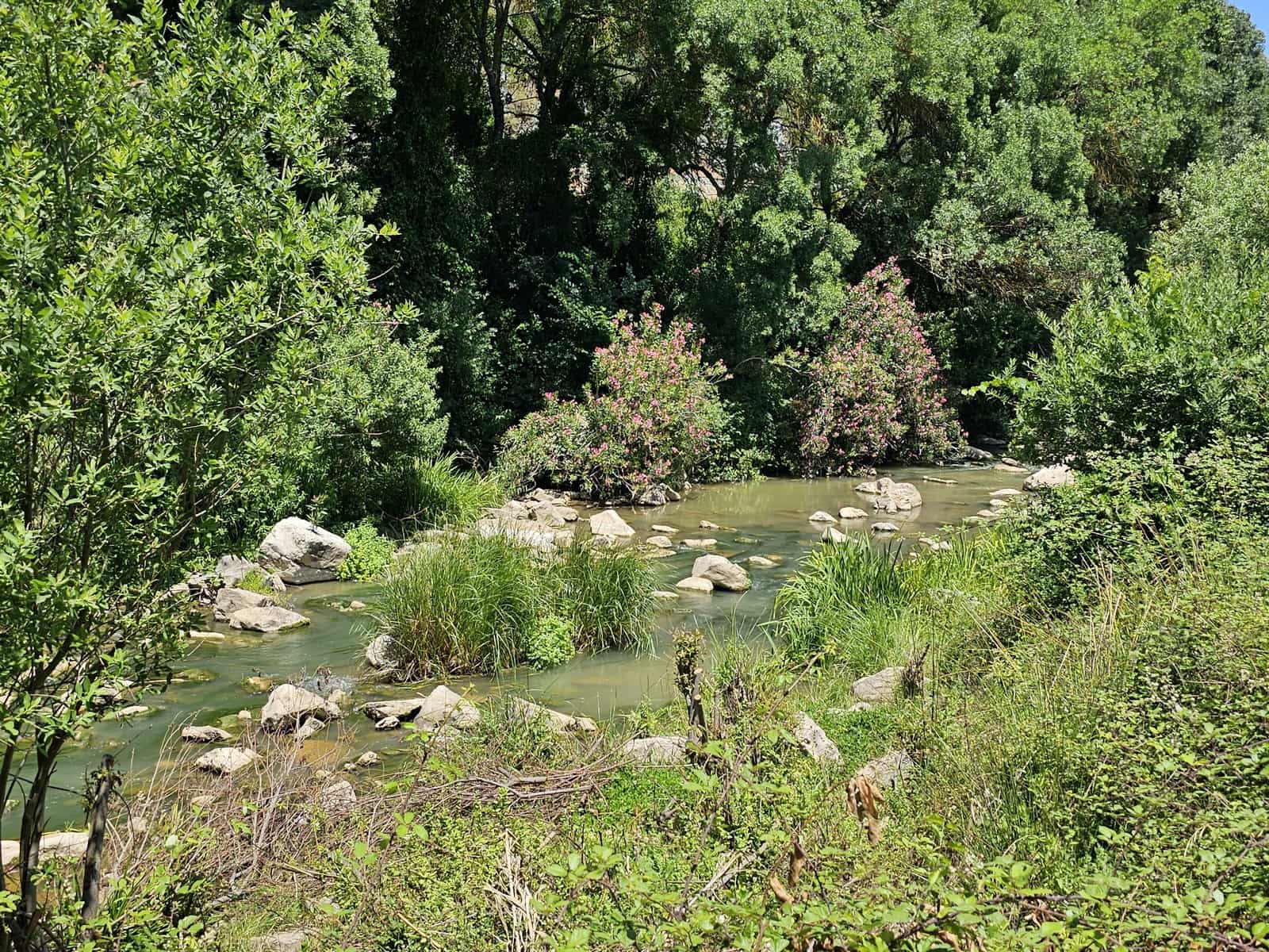 13 soveværelse Hotel til salg i Benaojan med swimmingpool - € 980.000 (Ref: 8427924)