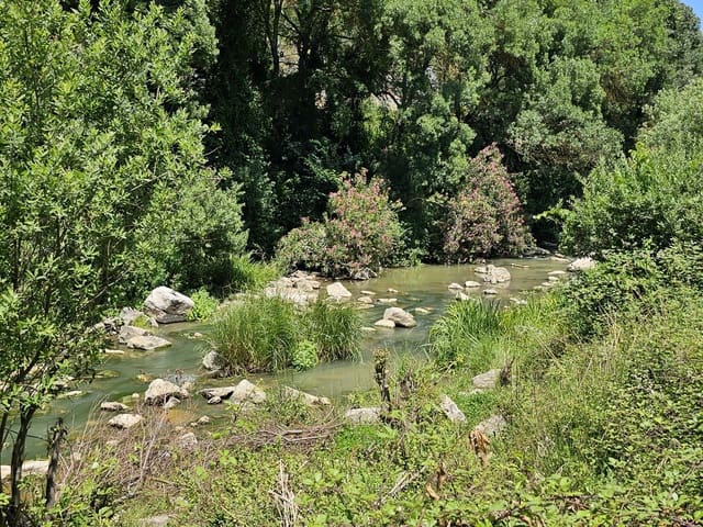 13 soveværelse Hotel til salg i Benaoján med swimmingpool - € 980.000 (Ref: 8427924)