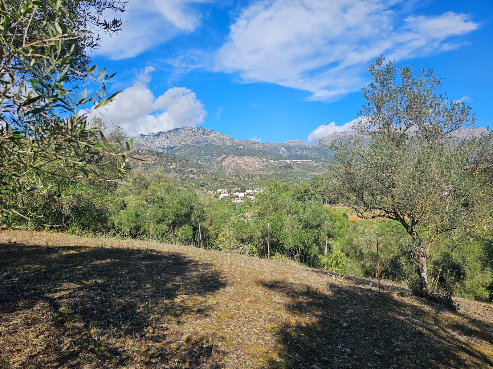 2 soverom Finca/Herregård til salgs i Cortes de la Frontera - € 200 000 (Ref: 8428010)