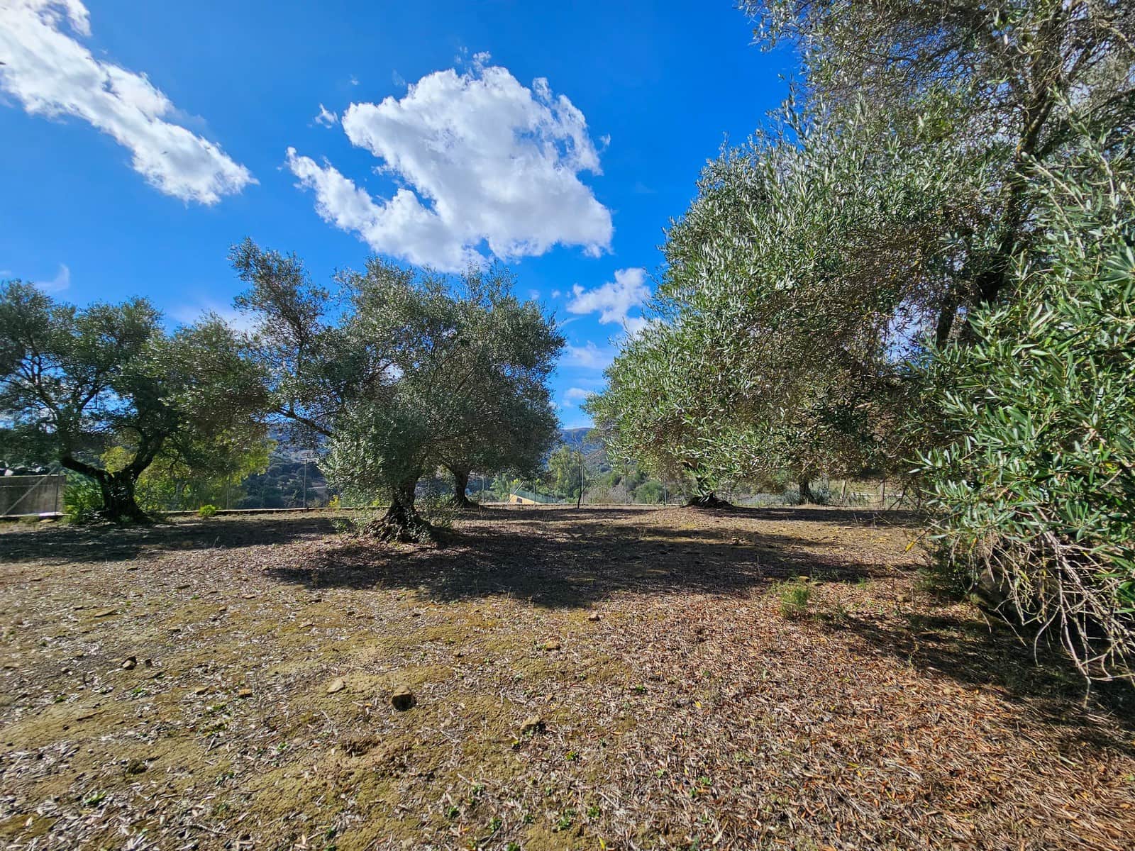 2 soverom Finca/Herregård til salgs i Cortes de la Frontera - € 200 000 (Ref: 8428010)