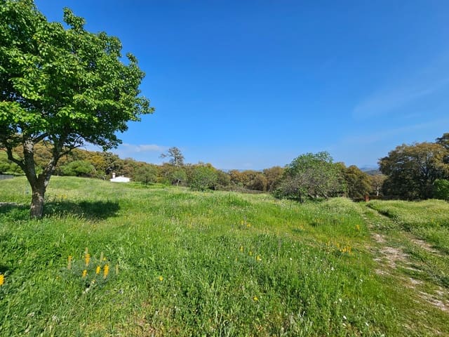 2 soveværelse Finca/Landehus til salg i Cortes de la Frontera - € 230.000 (Ref: 8428055)