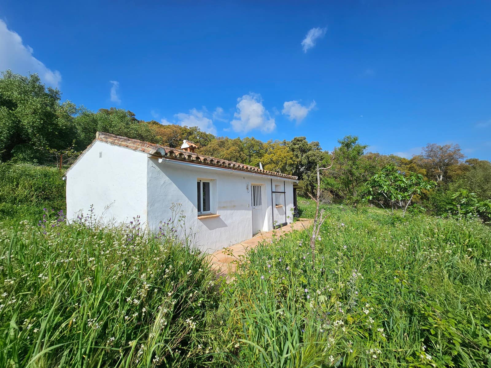 2 bedroom Finca/Country House for sale in Cortes de la Frontera - € 230,000 (Ref: 8428055)