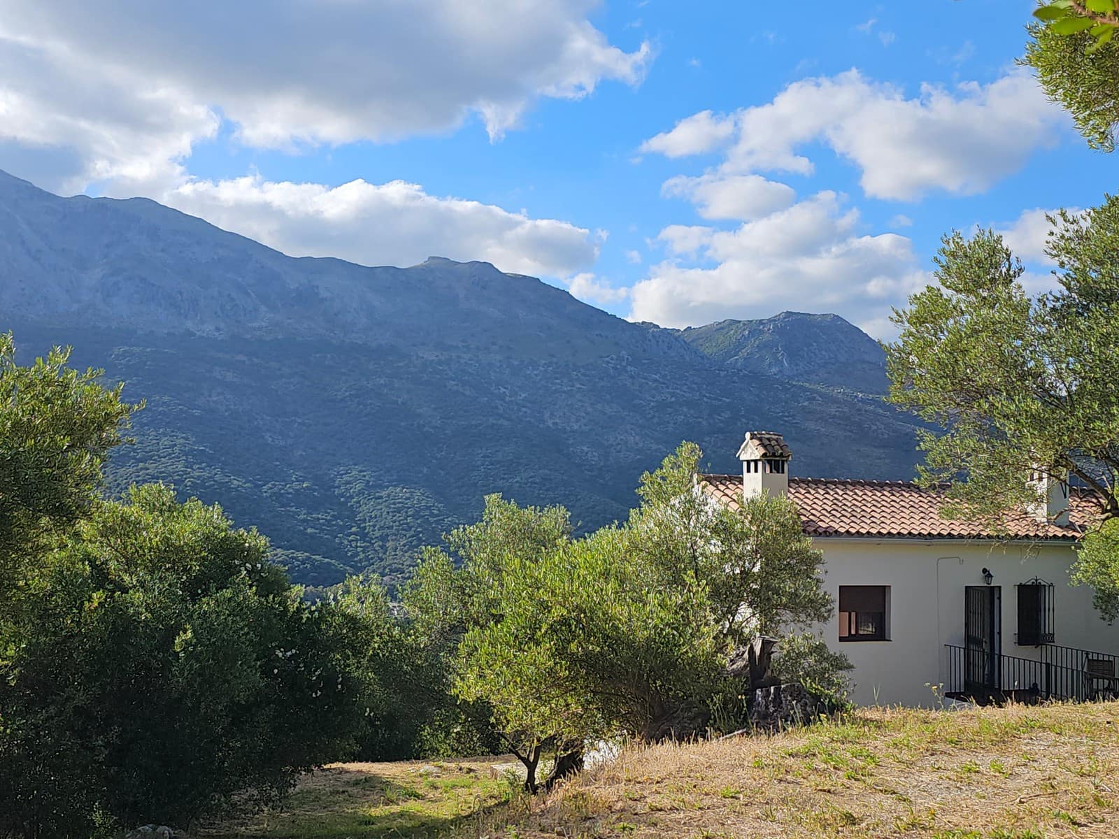 4 slaapkamer Finca/Landhuis te koop in Jimera de Libar - € 239.000 (Ref: 8428097)