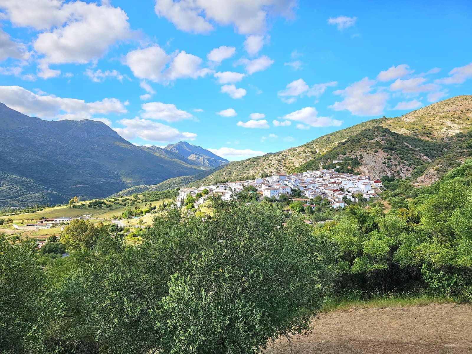 4 slaapkamer Finca/Landhuis te koop in Jimera de Libar - € 239.000 (Ref: 8428097)