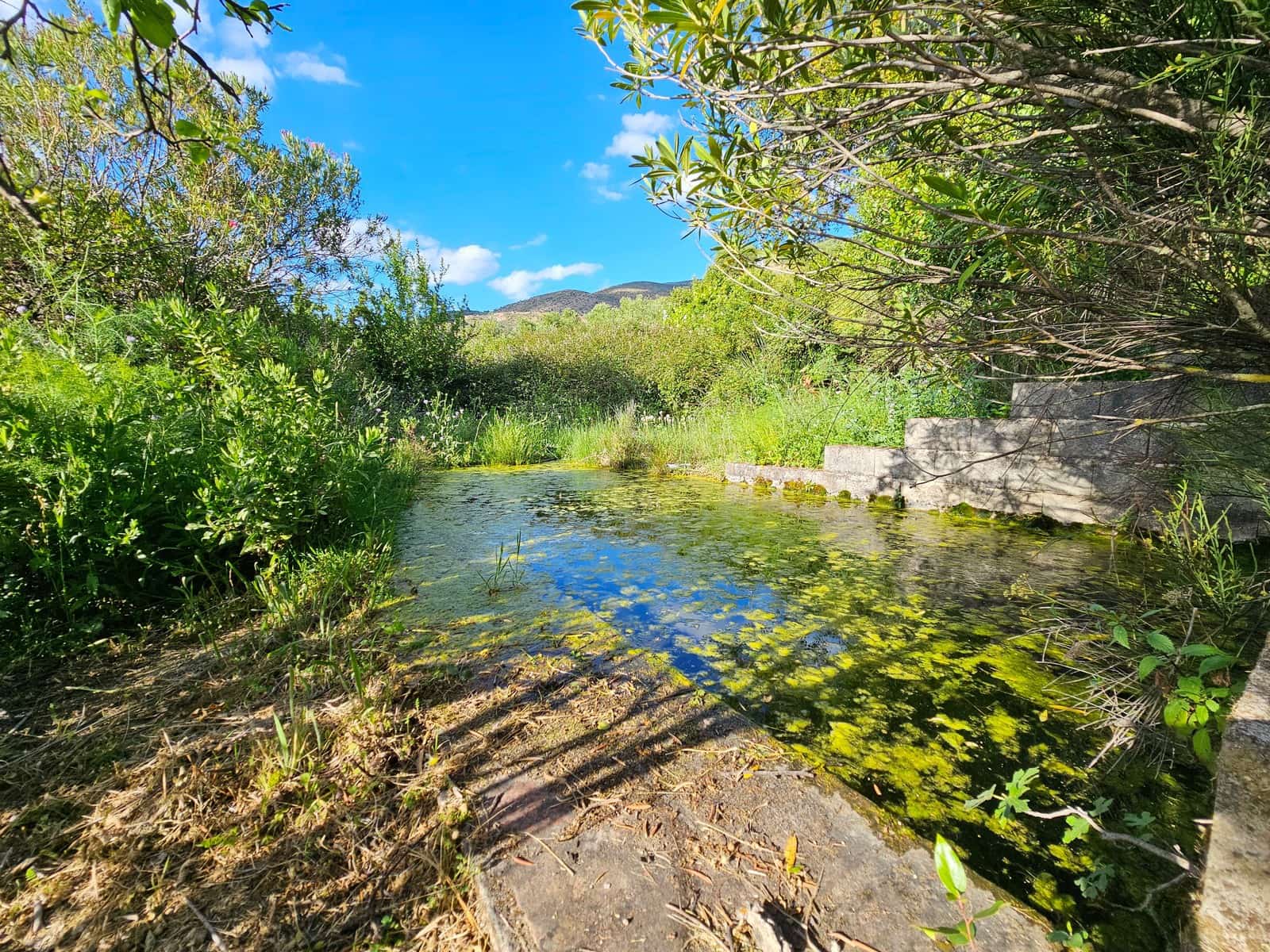 4 slaapkamer Finca/Landhuis te koop in Jimera de Libar - € 239.000 (Ref: 8428097)