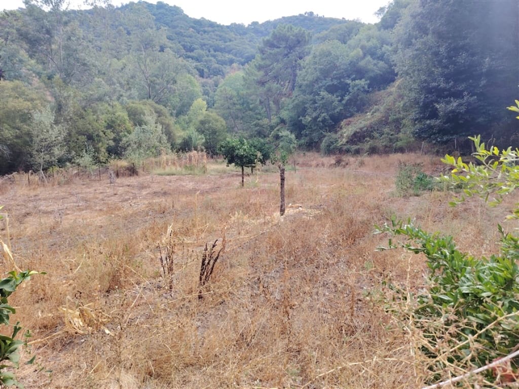 2 soverom Finca/Herregård til salgs i Genalguacil - € 450 000 (Ref: 9326812)