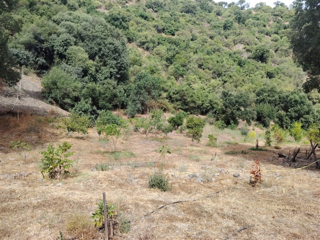 2 soverom Finca/Herregård til salgs i Genalguacil - € 450 000 (Ref: 9326812)