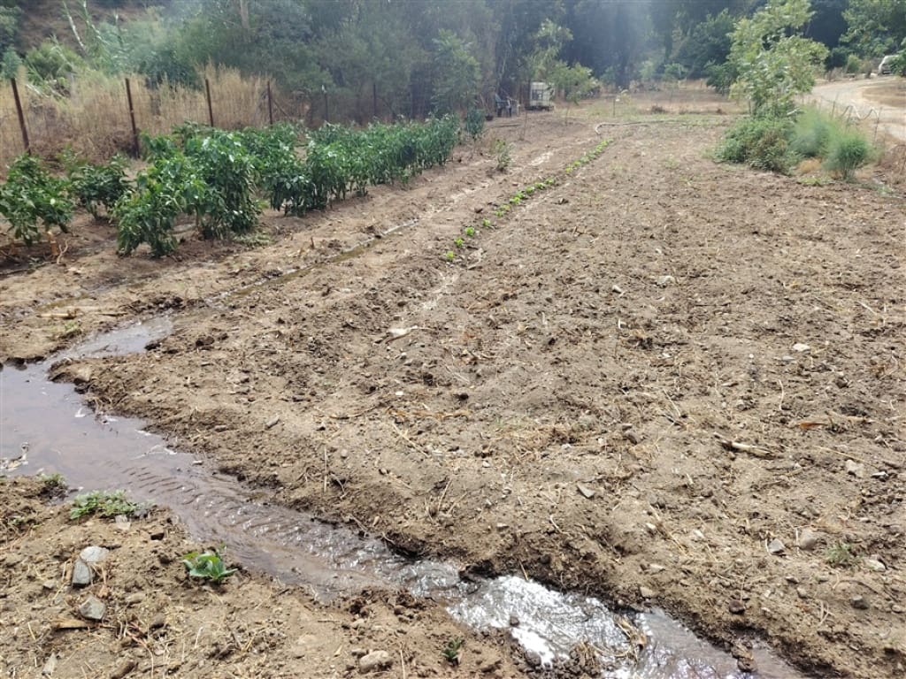 2 soverom Finca/Herregård til salgs i Genalguacil - € 450 000 (Ref: 9326812)