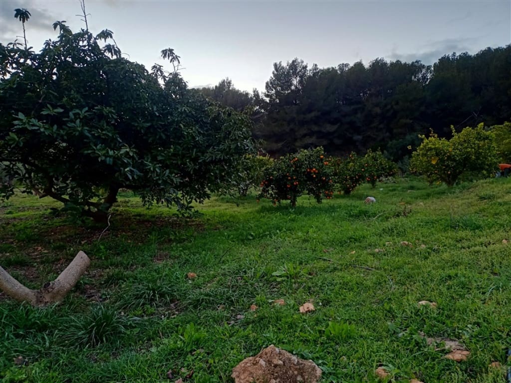 Finca/Casa Rural de 3 habitaciones en Casarabonela en venta - 680.000 € (Ref: 9326813)