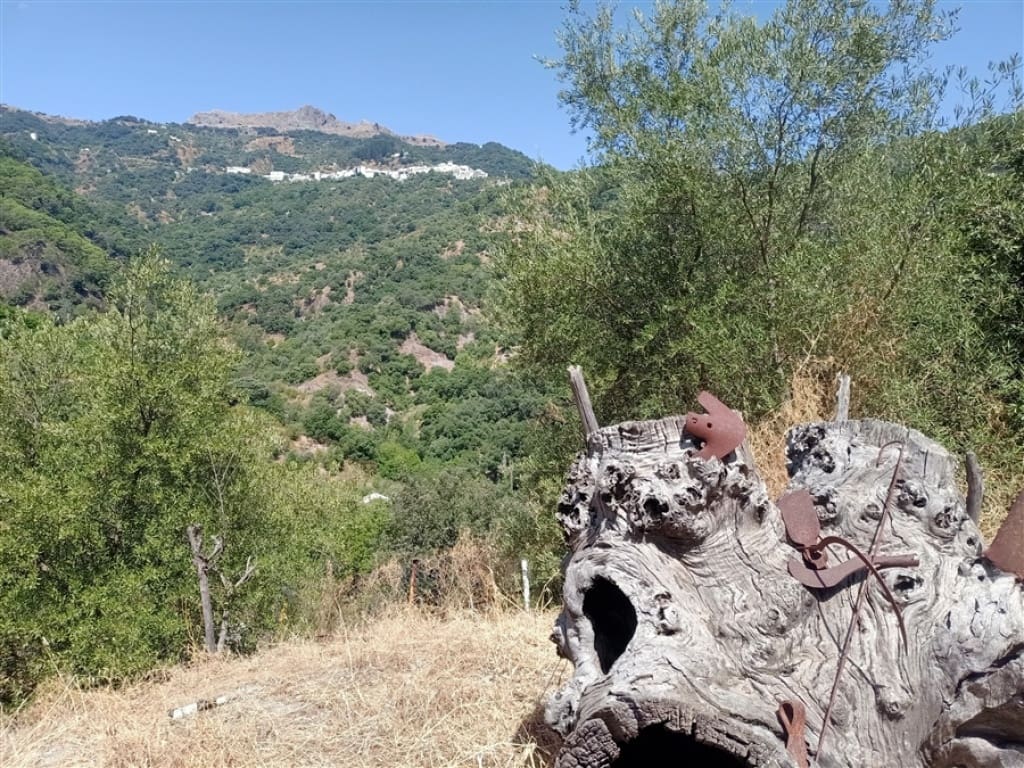 2 soveværelse Finca/Landehus til salg i Algatocin - € 120.000 (Ref: 9326820)