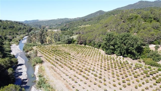 8 soveværelse Finca/Landehus til salg i Gaucín med swimmingpool garage - € 2.800.000 (Ref: 9326828)