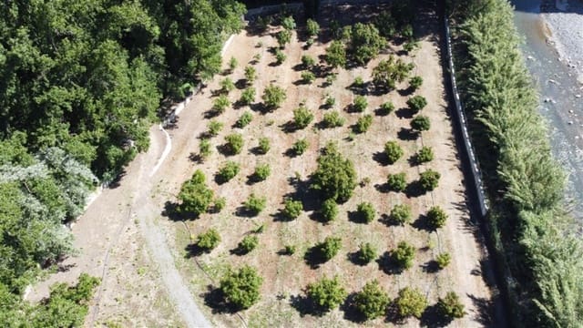 8 soveværelse Finca/Landehus til salg i Gaucín med swimmingpool garage - € 2.800.000 (Ref: 9326828)