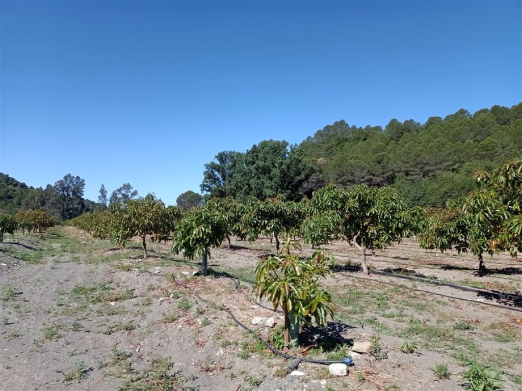 8 sovrum Finca/Hus på landet till salu i Gaucin med pool garage - 2 800 000 € (Ref: 9326828)