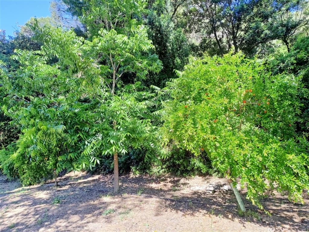 8 sovrum Finca/Hus på landet till salu i Gaucin med pool garage - 2 800 000 € (Ref: 9326828)