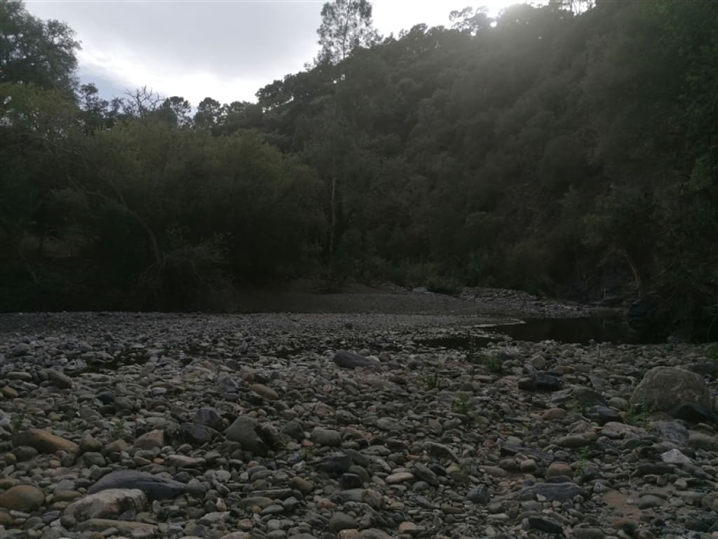 3 soverom Finca/Herregård til salgs i Genalguacil - € 290 000 (Ref: 9326832)