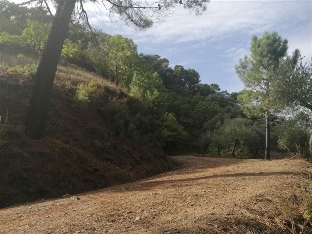 3 soverom Finca/Herregård til salgs i Genalguacil - € 290 000 (Ref: 9326832)