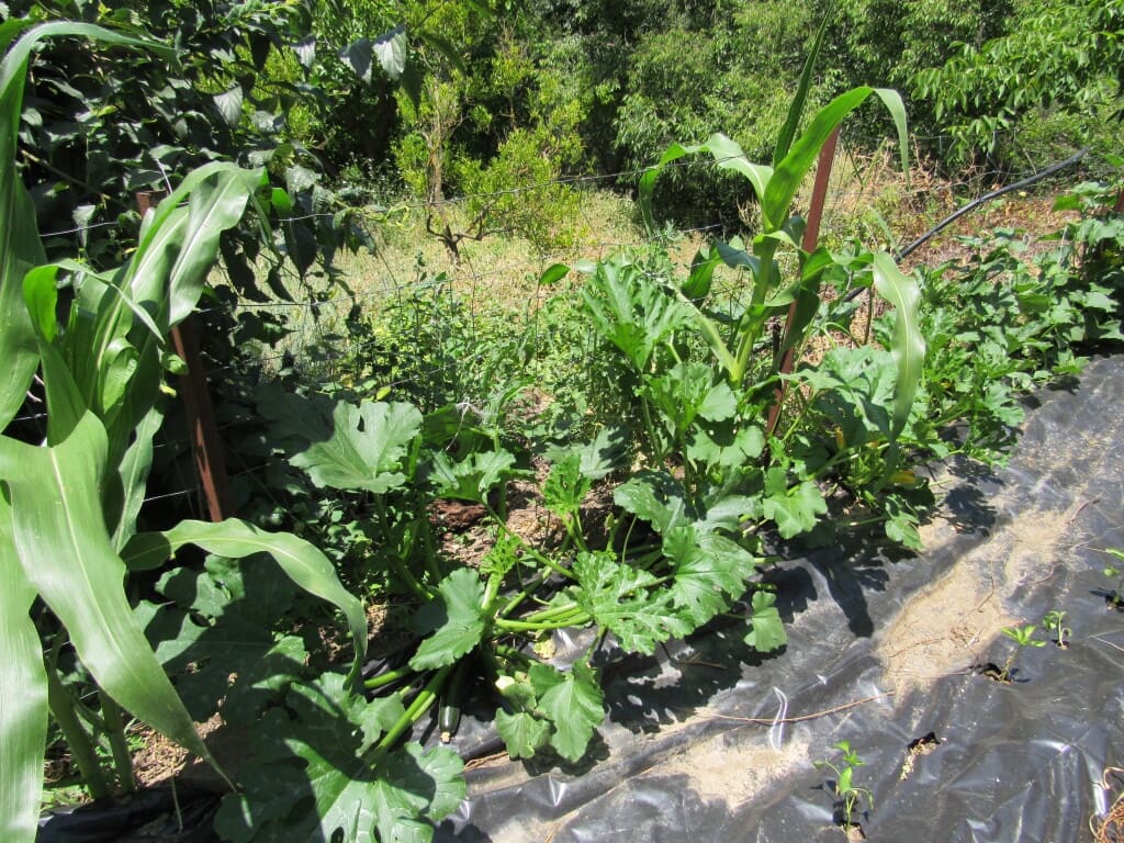 2 soverom Finca/Herregård til salgs i Genalguacil med garasje - € 215 000 (Ref: 9326833)