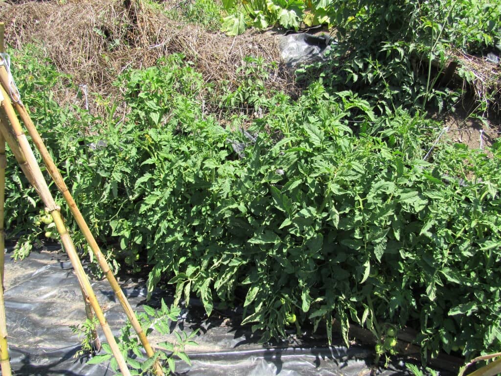 2 soverom Finca/Herregård til salgs i Genalguacil med garasje - € 215 000 (Ref: 9326833)