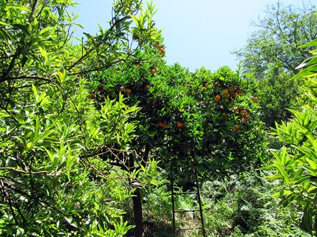 2 soverom Finca/Herregård til salgs i Genalguacil med garasje - € 215 000 (Ref: 9326833)