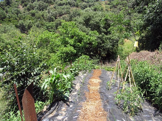 2 soverom Finca/Herregård til salgs i Genalguacil med garasje - € 215 000 (Ref: 9326833)