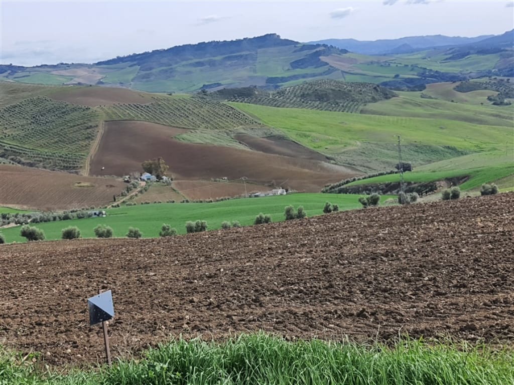 3 soverom Finca/Herregård til salgs i Montecorto - € 280 000 (Ref: 9326837)