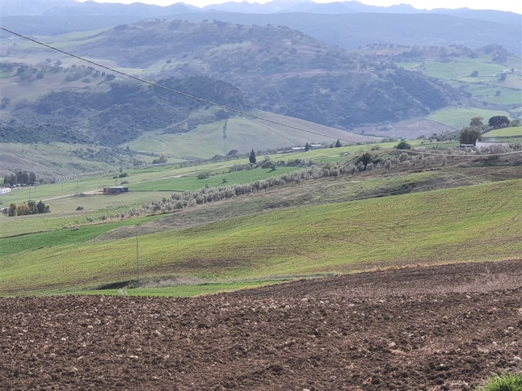 3 soverom Finca/Herregård til salgs i Montecorto - € 280 000 (Ref: 9326837)