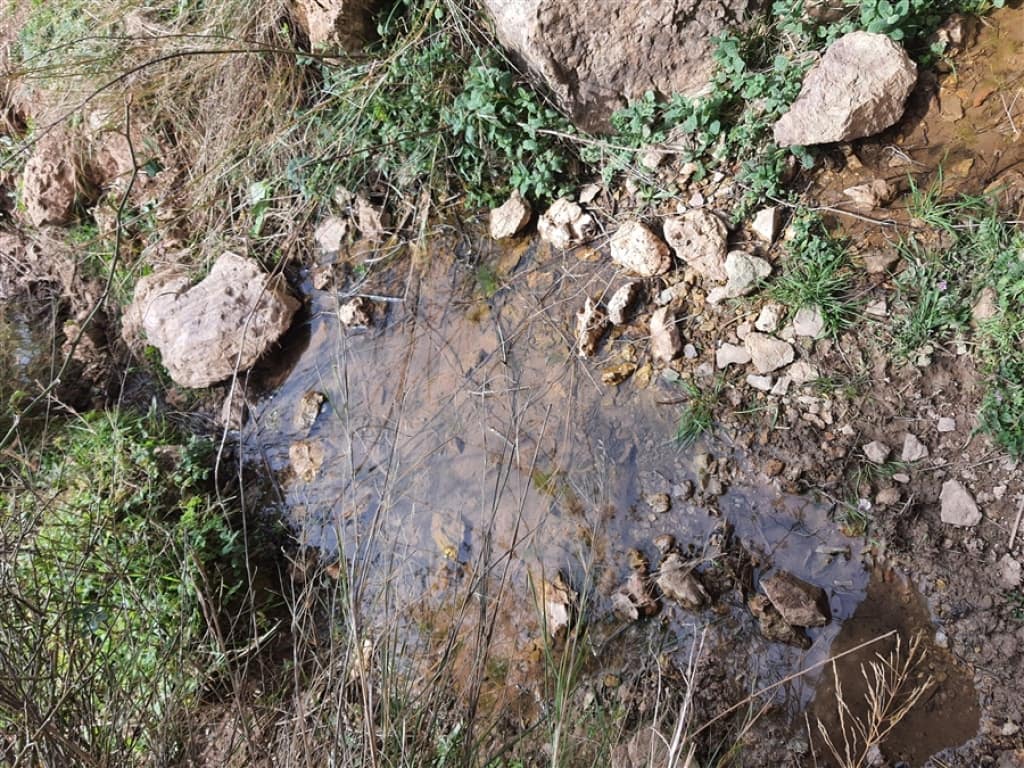 1 soveværelse Finca/Landehus til salg i Parauta - € 300.000 (Ref: 9326838)