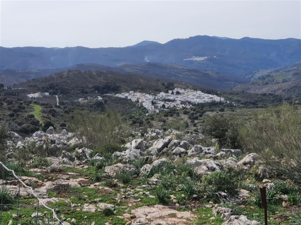 1 soveværelse Finca/Landehus til salg i Parauta - € 300.000 (Ref: 9326838)