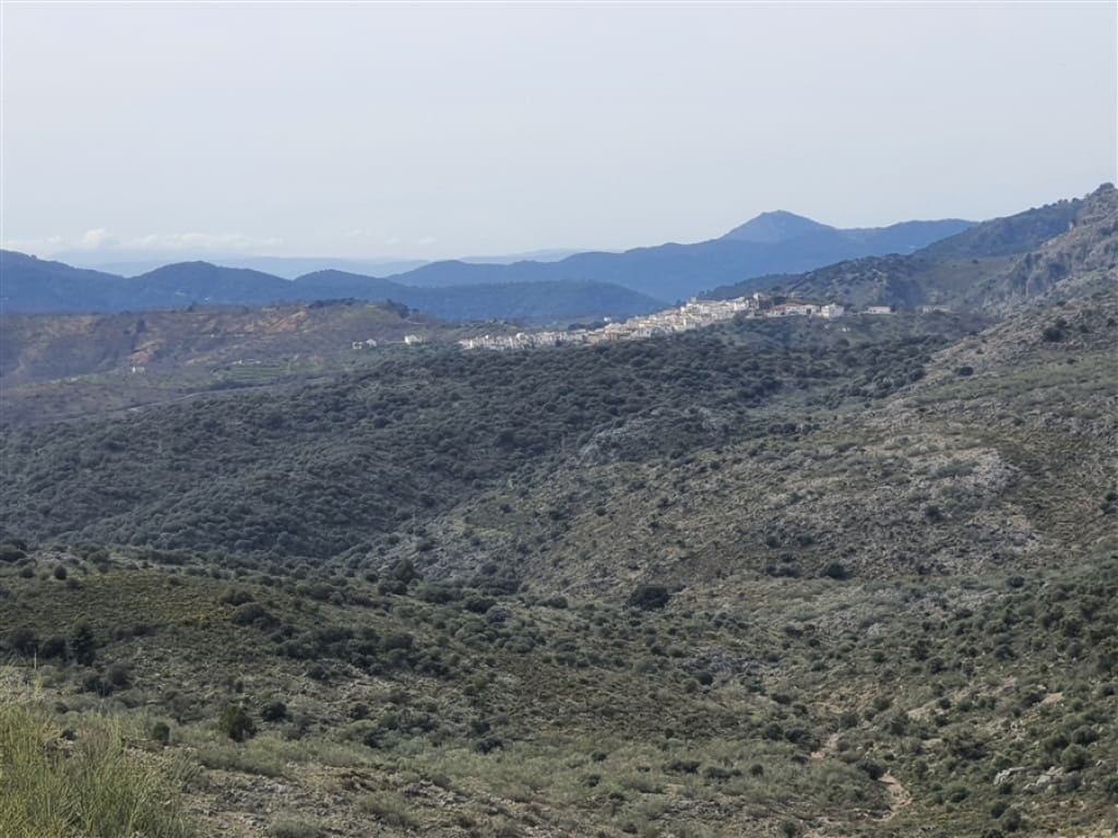 1 soveværelse Finca/Landehus til salg i Parauta - € 300.000 (Ref: 9326838)