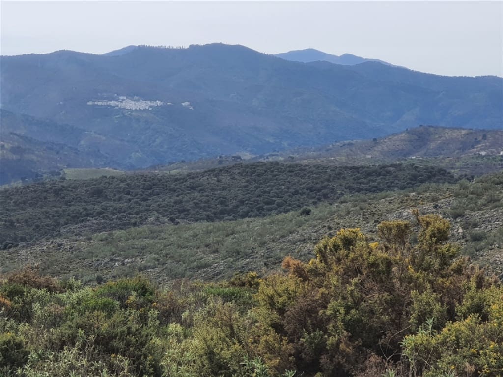 1 soveværelse Finca/Landehus til salg i Parauta - € 300.000 (Ref: 9326838)