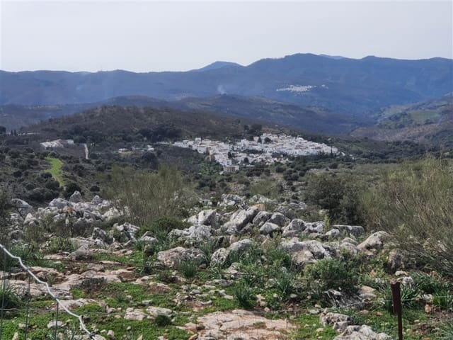 1 sypialnia Finka/Dom wiejski na sprzedaż w Parauta - 300 000 € (Ref: 9326838)