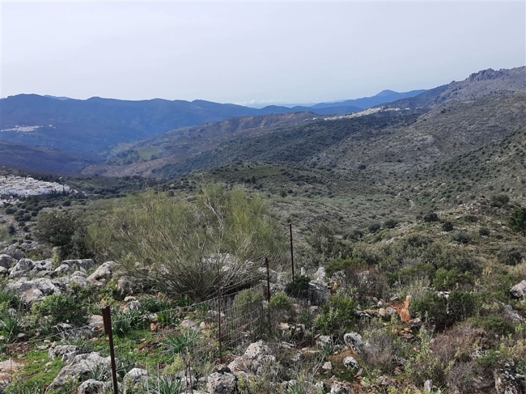 1 soveværelse Finca/Landehus til salg i Parauta - € 300.000 (Ref: 9326838)