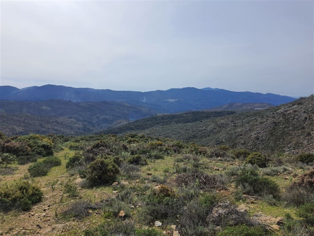 1 soveværelse Finca/Landehus til salg i Parauta - € 300.000 (Ref: 9326838)