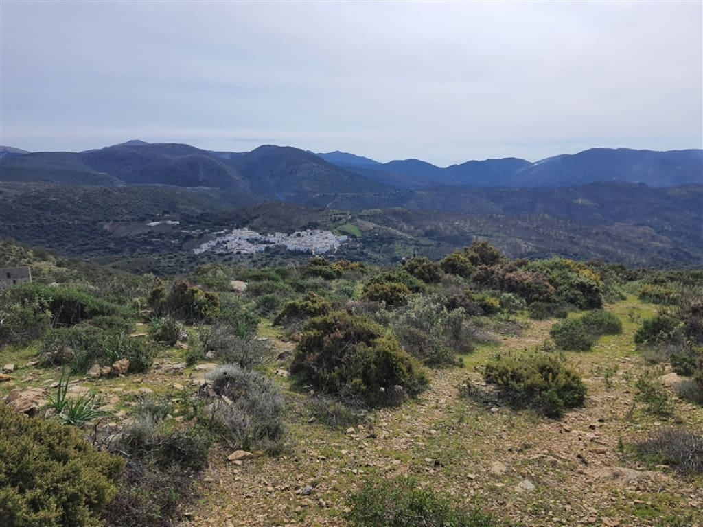 1 soveværelse Finca/Landehus til salg i Parauta - € 300.000 (Ref: 9326838)