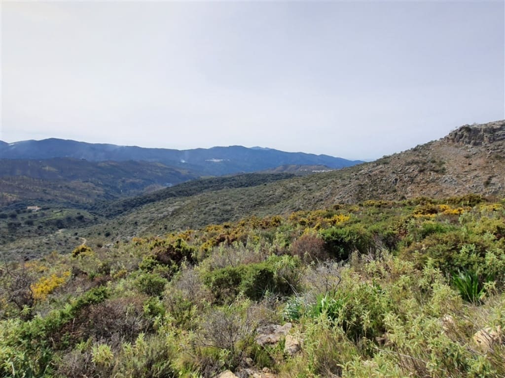 1 soveværelse Finca/Landehus til salg i Parauta - € 300.000 (Ref: 9326838)