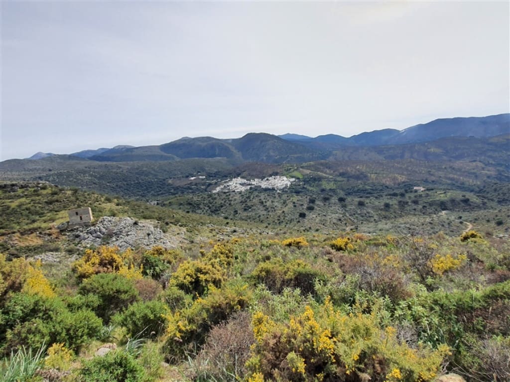 1 soveværelse Finca/Landehus til salg i Parauta - € 300.000 (Ref: 9326838)