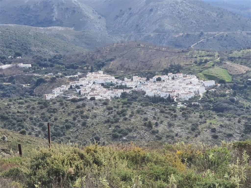 1 soveværelse Finca/Landehus til salg i Parauta - € 300.000 (Ref: 9326838)