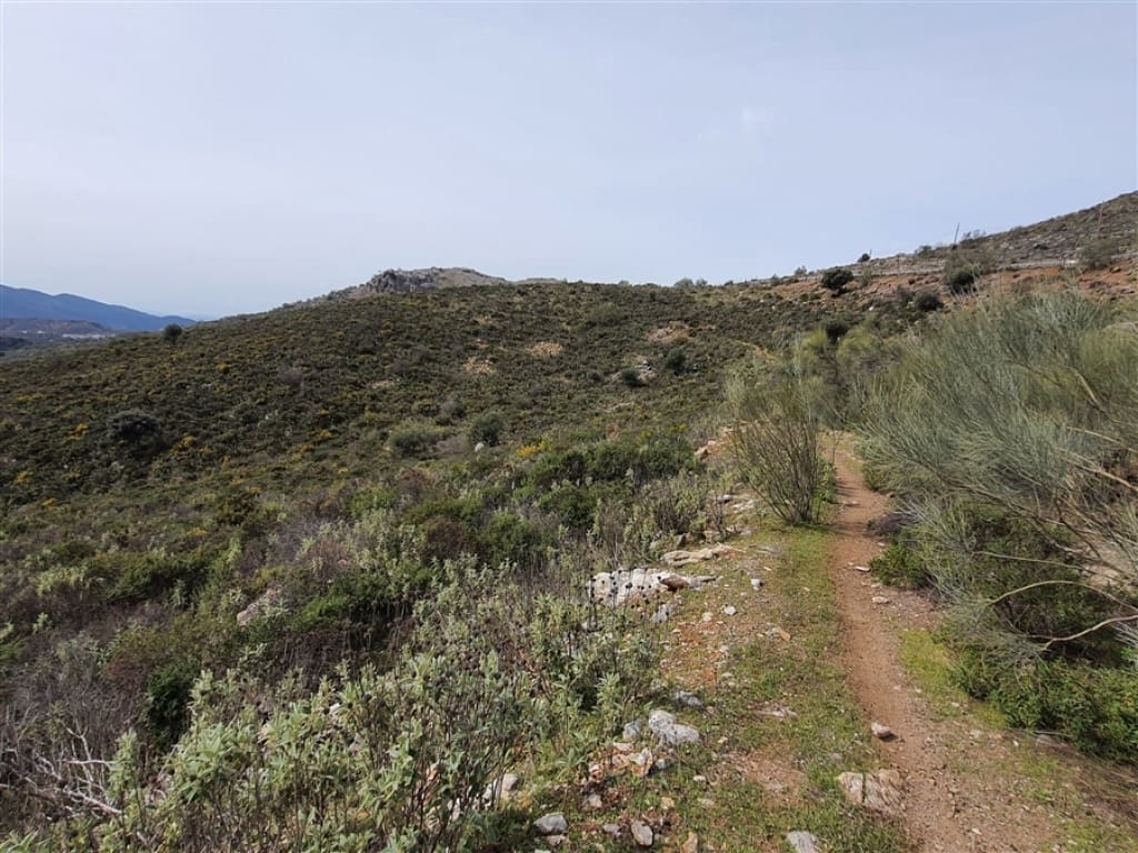 1 soveværelse Finca/Landehus til salg i Parauta - € 300.000 (Ref: 9326838)