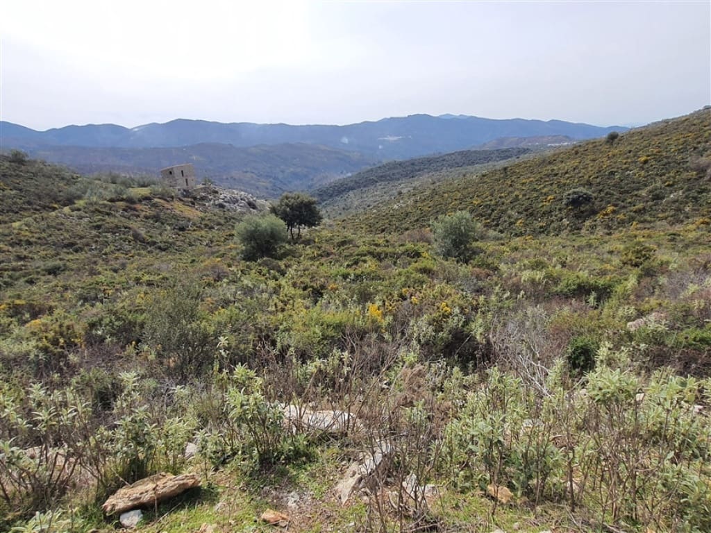 1 soveværelse Finca/Landehus til salg i Parauta - € 300.000 (Ref: 9326838)