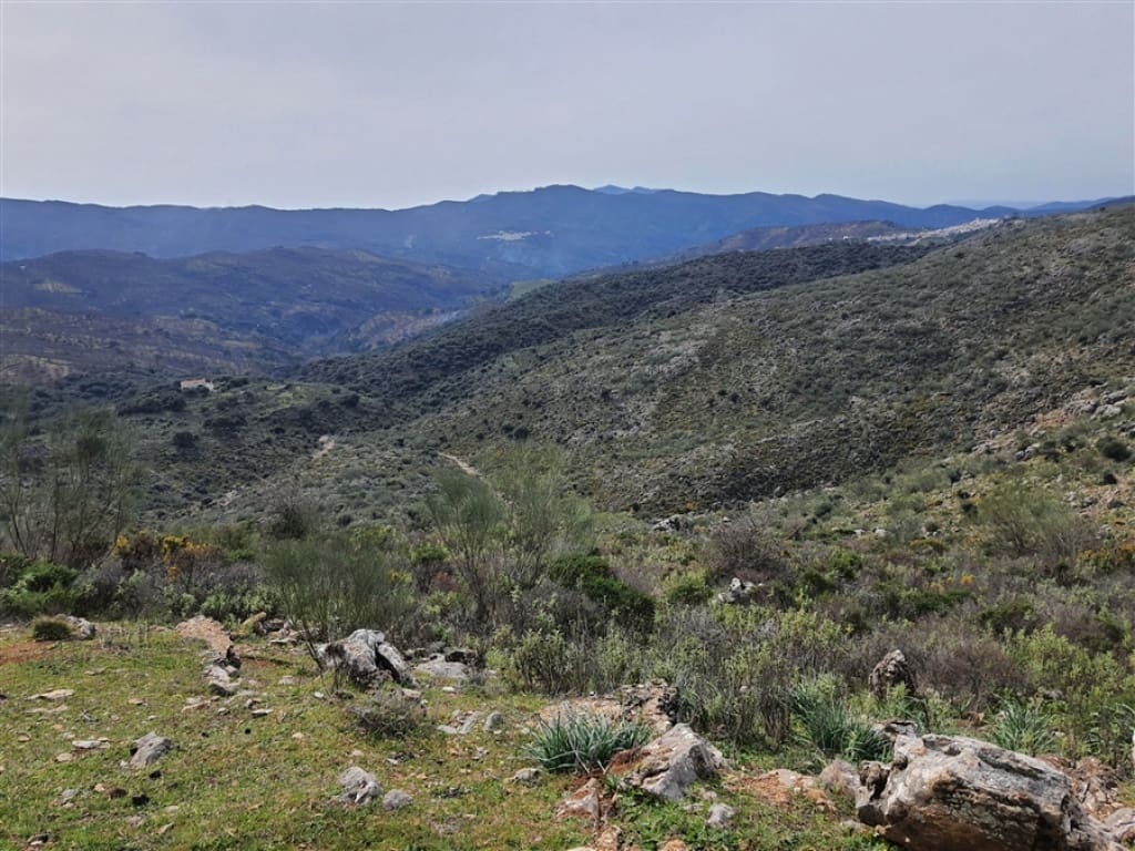 1 soveværelse Finca/Landehus til salg i Parauta - € 300.000 (Ref: 9326838)